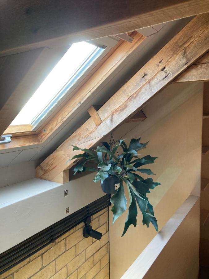 Tiny House Van Hoogspanning Naar Ontspanning Wirdum Extérieur photo